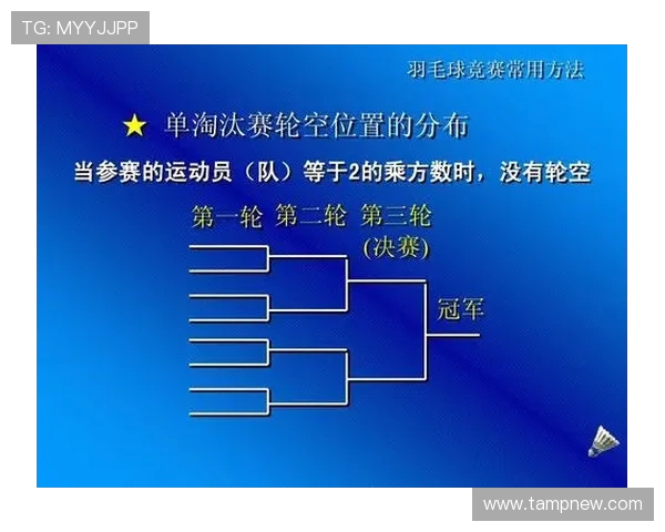 武汉羽毛球队的整体压制揭秘与深度分析探讨羽毛球运动的未来发展